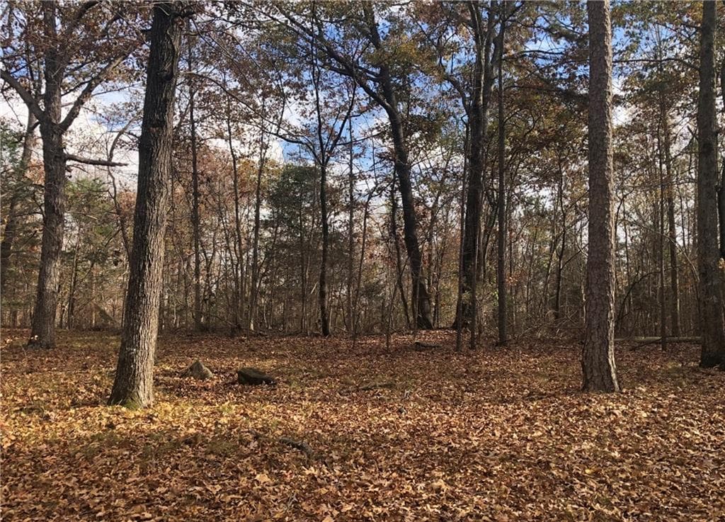 3 bedroom unimproved land for sale at 209 Alice Moss Lane, Alto, GA 30510 — photo 10