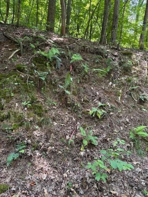 single family residence for sale at 0 Mountain View Court, Ellijay, GA 30536 — photo 2