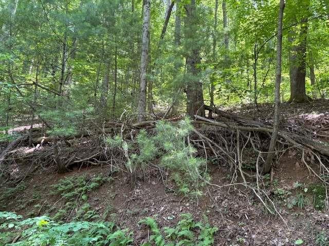 single family residence for sale at 0 Mountain View Court, Ellijay, GA 30536 — photo 3