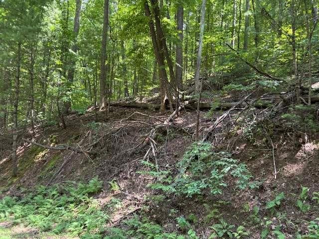 single family residence for sale at 0 Mountain View Court, Ellijay, GA 30536 — photo 4