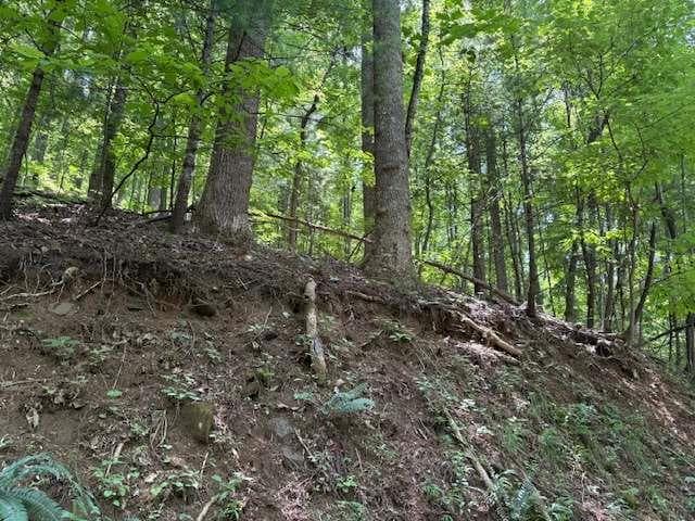 single family residence for sale at 0 Mountain View Court, Ellijay, GA 30536 — photo 6
