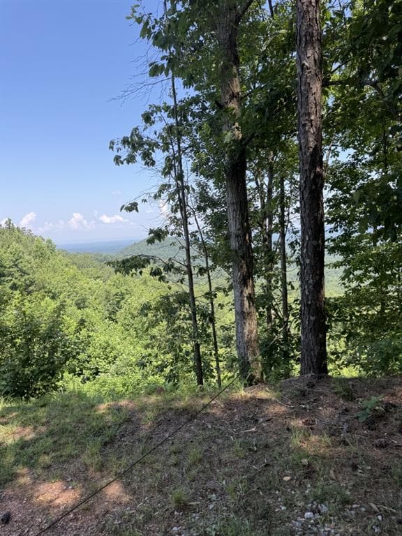 other sold at 1588 Paladin Drive, Ranger, GA 30734