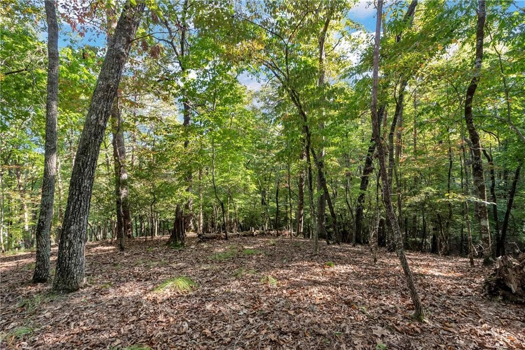 133 Stamp Mill, Dahlonega, GA 30533 — most recent listing photo