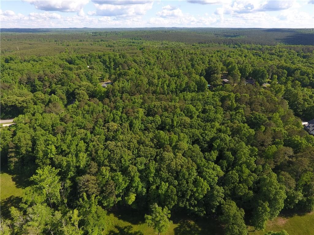 unimproved land for sale at 5960 Georgia Highway 120, Buchanan, GA 30113 — photo 4