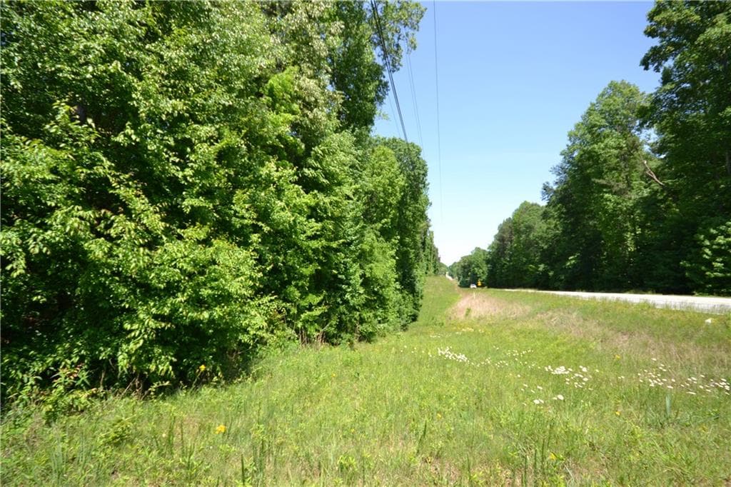 unimproved land for sale at 5960 Georgia Highway 120, Buchanan, GA 30113 — photo 10