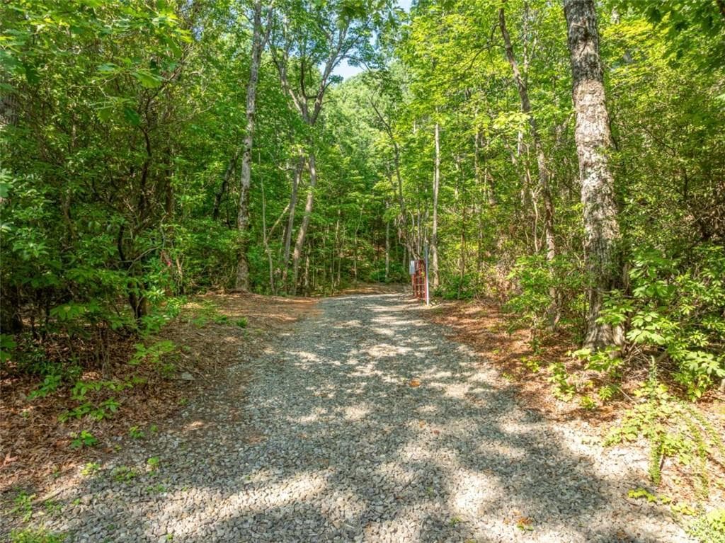 single family residence for sale at 1298 Cold Stream Trail, Jasper, GA 30143 — photo 6