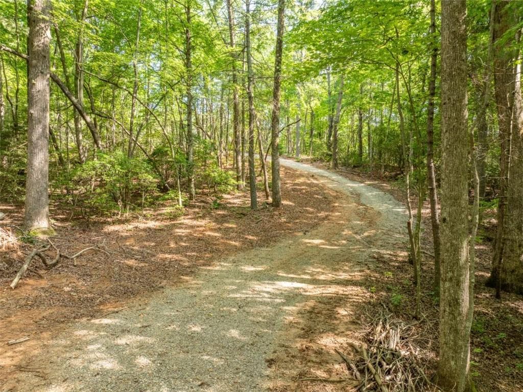 single family residence for sale at 1298 Cold Stream Trail, Jasper, GA 30143 — photo 10