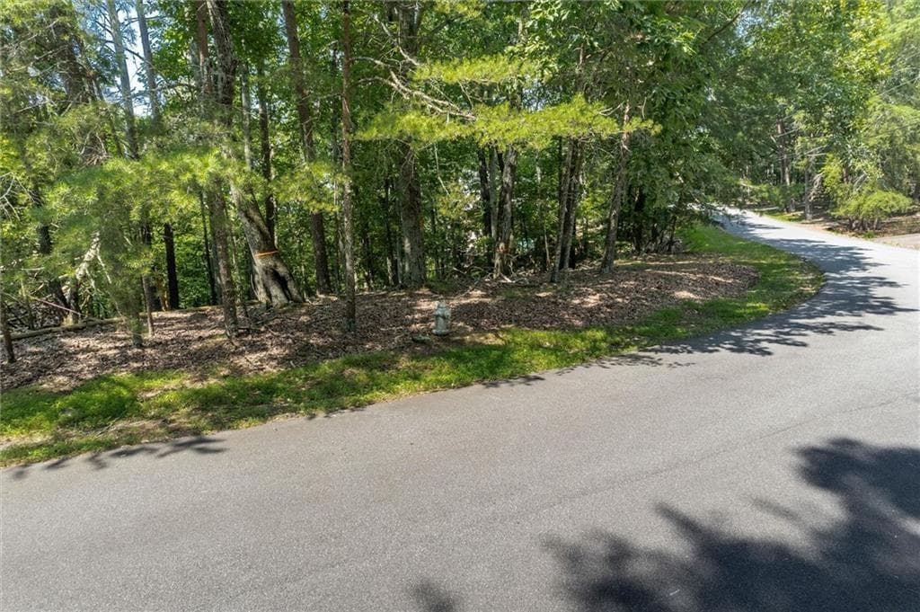 unimproved land for sale at 154 Ponderosa Lane, Waleska, GA 30183 — photo 10