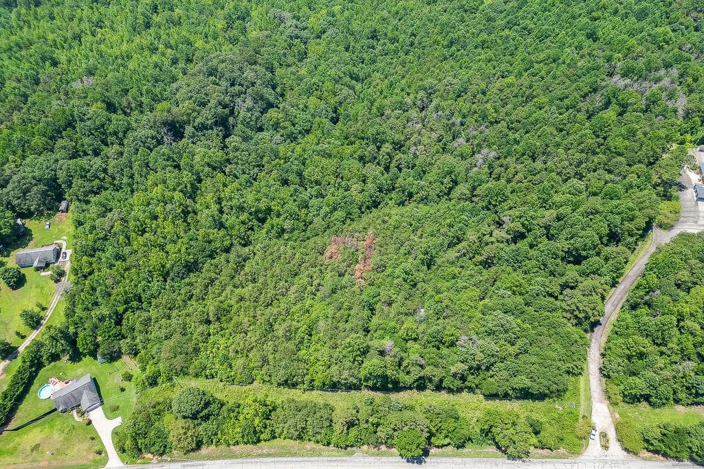other for sale at 5821 Highway 320, Carnesville, GA 30521 — photo 4