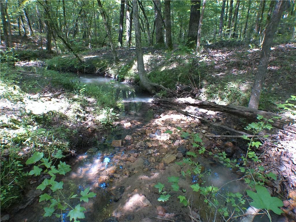 unimproved land for sale at 00 Mt Tabor Road, Oxford, GA 30054 — photo 4