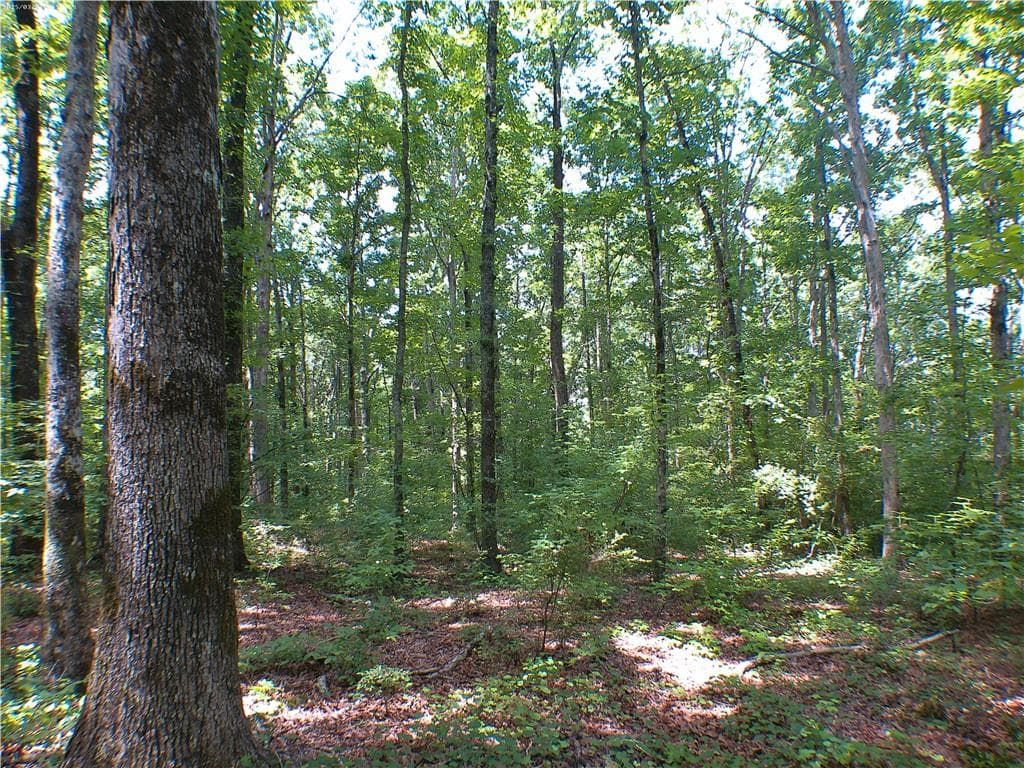 unimproved land for sale at 00 Mt Tabor Road, Oxford, GA 30054 — photo 7