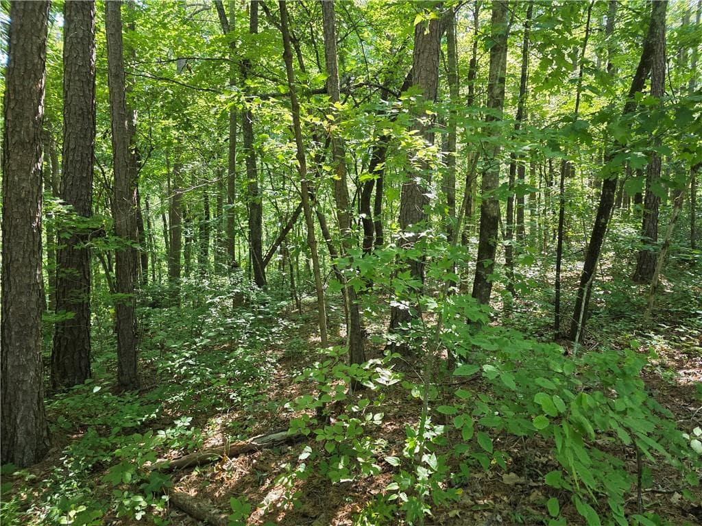 single family residence sold at 0 Harley Trail, Ball Ground, GA 30107