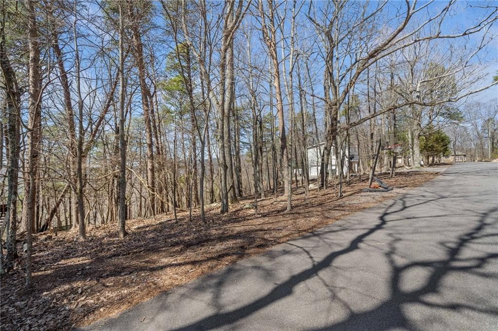 single family residence for sale at 166 Ponderosa Lane, Waleska, GA 30183 — photo 7