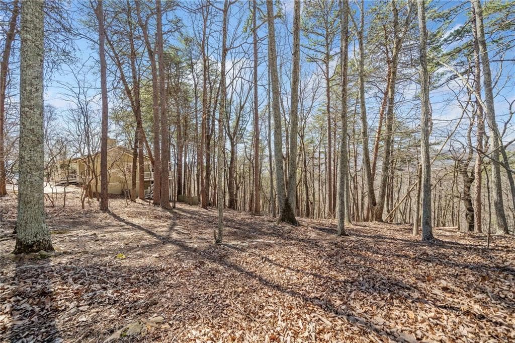 single family residence for sale at 166 Ponderosa Lane, Waleska, GA 30183 — photo 9