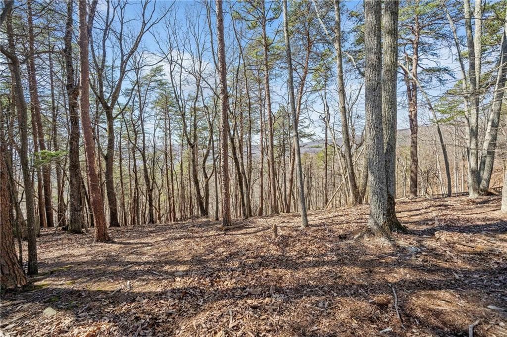 single family residence for sale at 166 Ponderosa Lane, Waleska, GA 30183 — photo 10