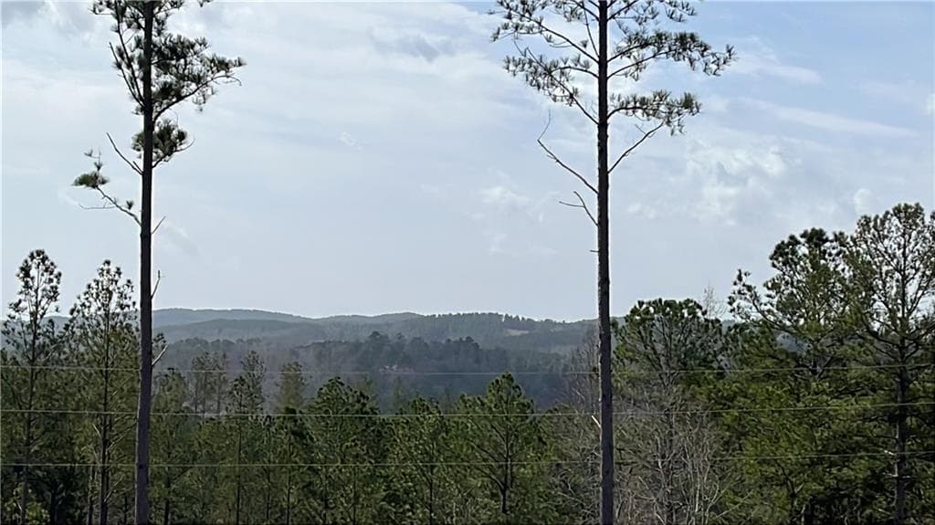 unimproved land for sale at LT 123 Blalock Mountain Rd Road, Talking Rock, GA 30175 — photo 3