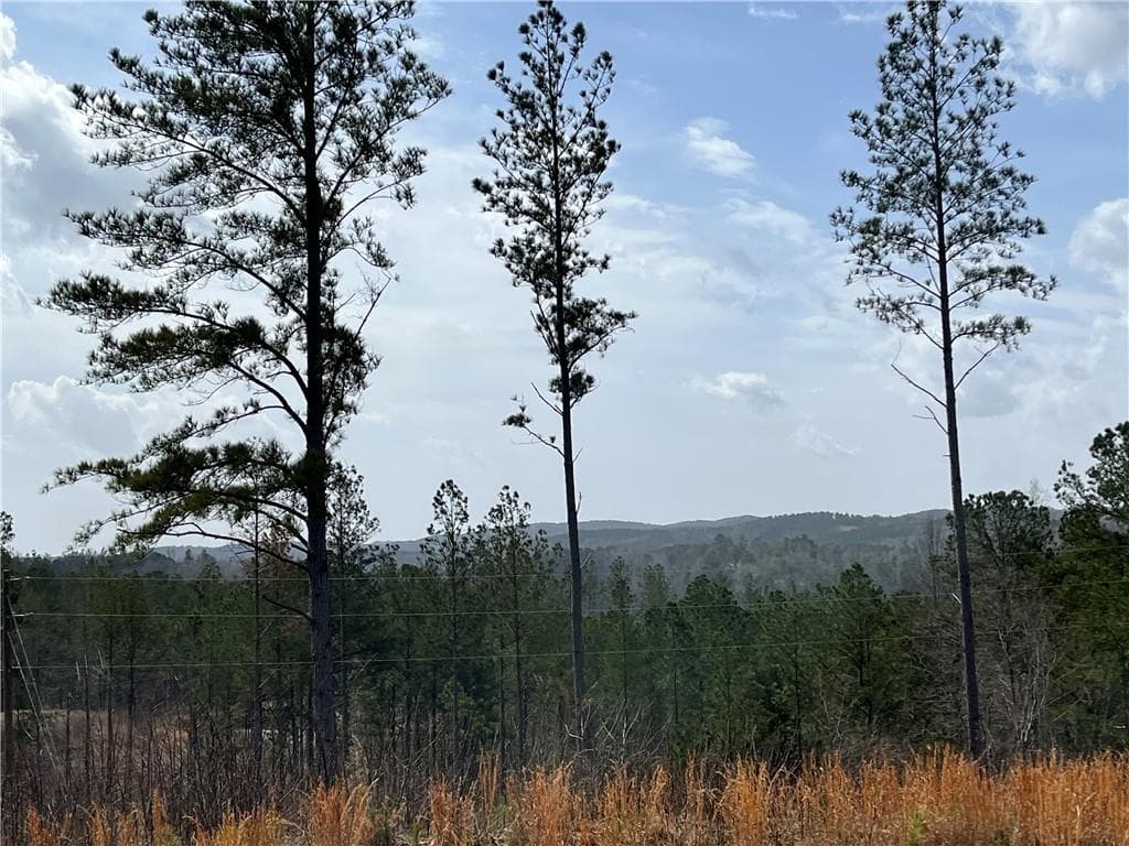 unimproved land for sale at LT 123 Blalock Mountain Rd Road, Talking Rock, GA 30175 — photo 4