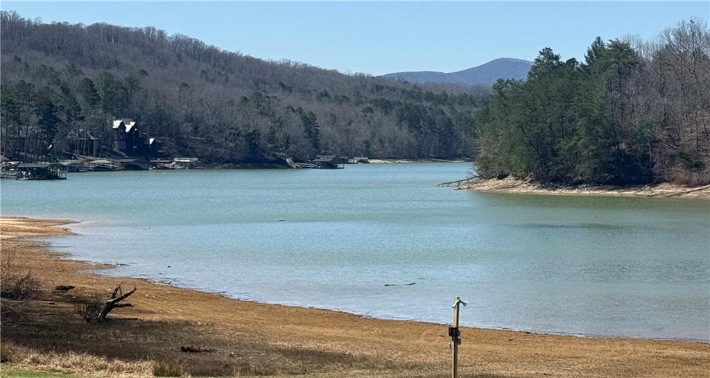 unimproved land for sale at LT 123 Blalock Mountain Rd Road, Talking Rock, GA 30175 — photo 9