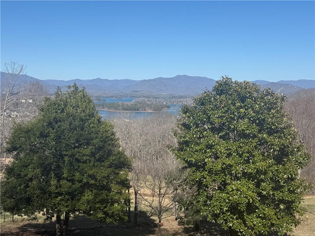 unimproved land for sale at LT 123 Blalock Mountain Rd Road, Talking Rock, GA 30175 — photo 10