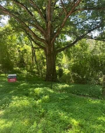 other sold at O Porter Springs Road, Dahlonega, GA 30533