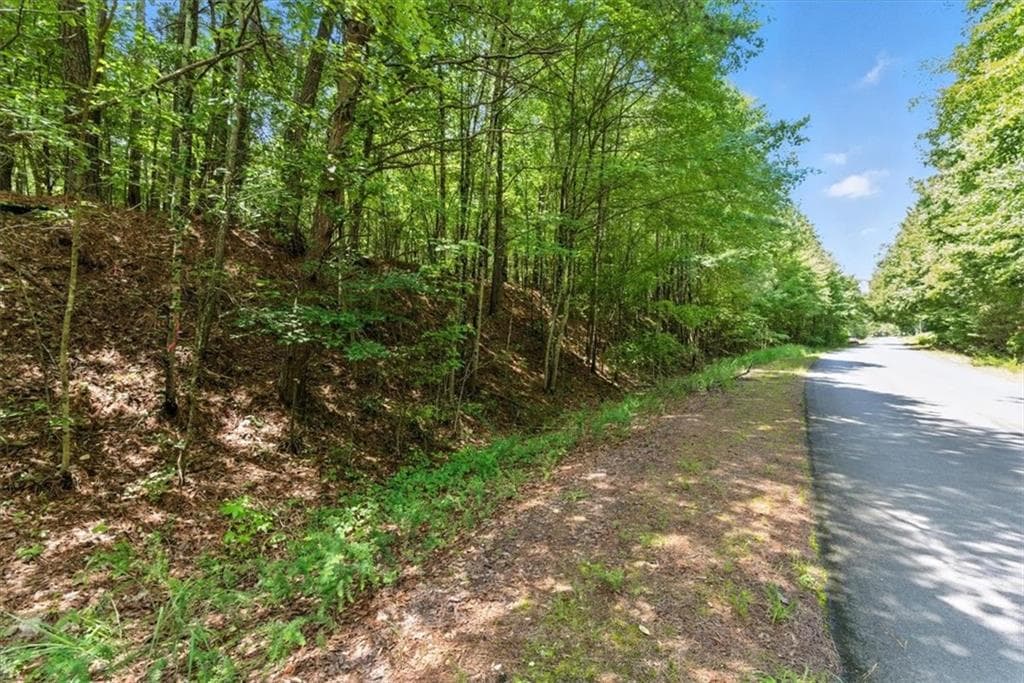unimproved land for sale at 0 George Road, Cave Spring, GA 30124 — photo 3
