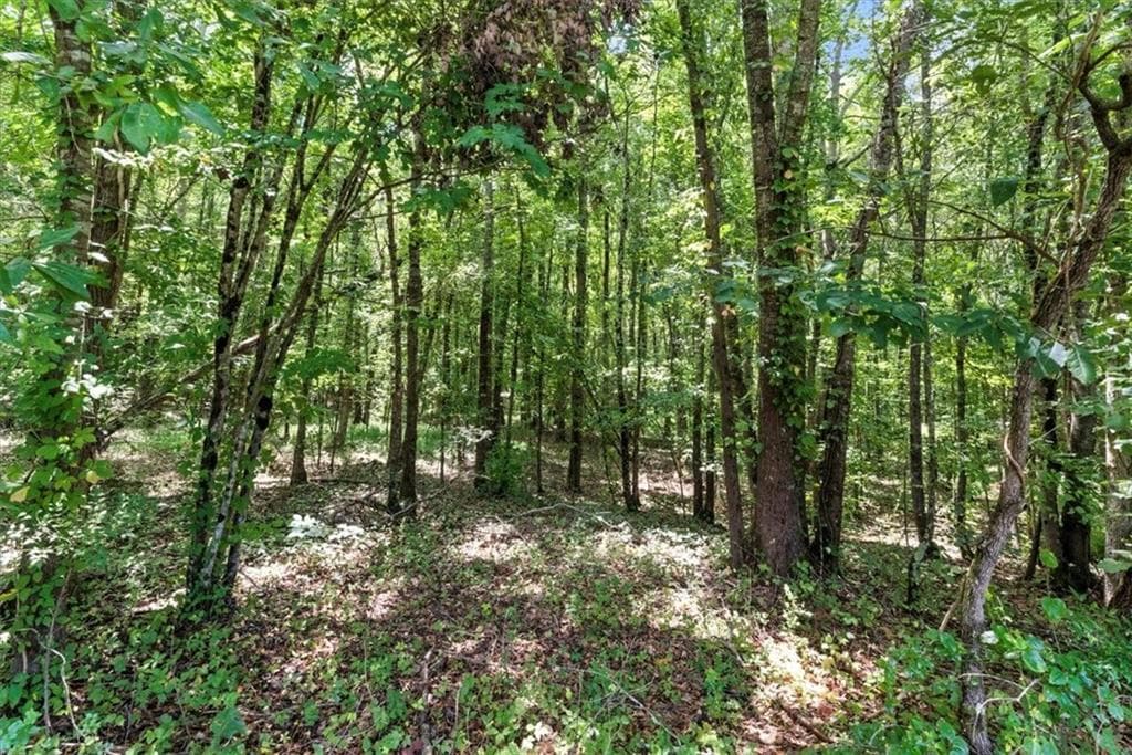 unimproved land for sale at 0 George Road, Cave Spring, GA 30124 — photo 5