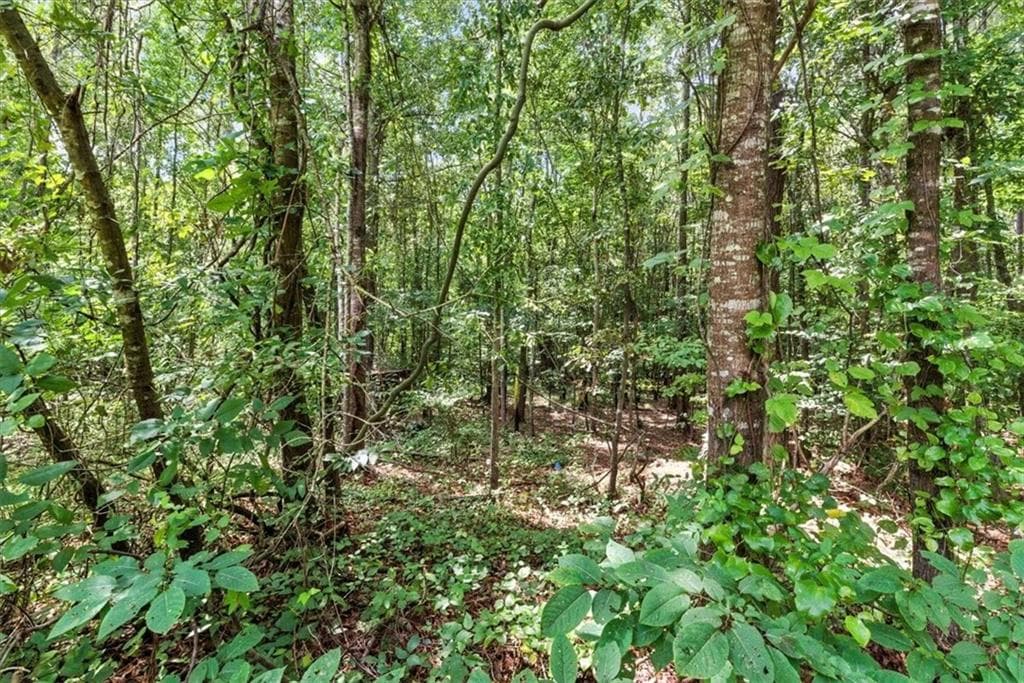 unimproved land for sale at 0 George Road, Cave Spring, GA 30124 — photo 6