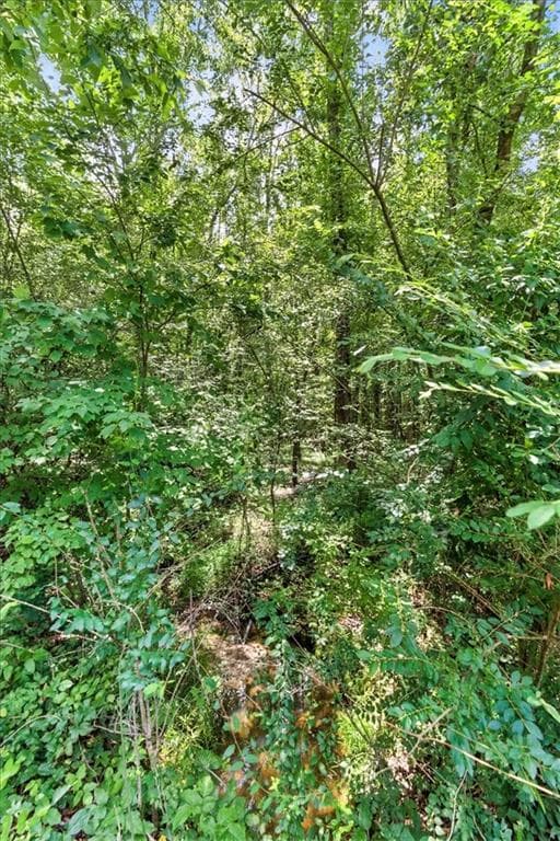 unimproved land for sale at 0 George Road, Cave Spring, GA 30124 — photo 7