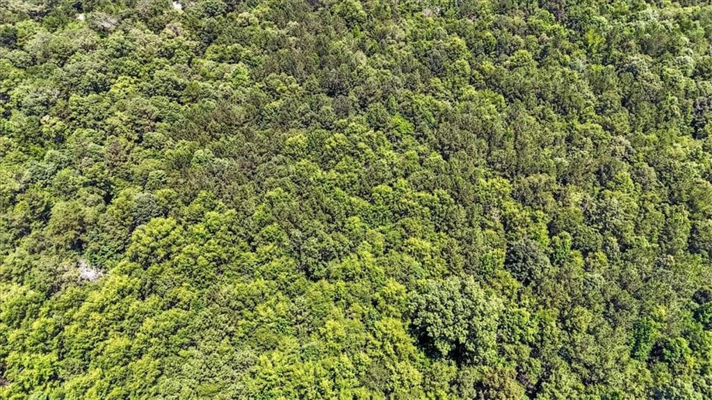unimproved land for sale at 0 George Road, Cave Spring, GA 30124 — photo 9