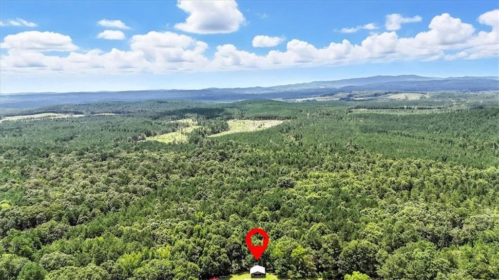 unimproved land for sale at 0 George Road, Cave Spring, GA 30124 — photo 10