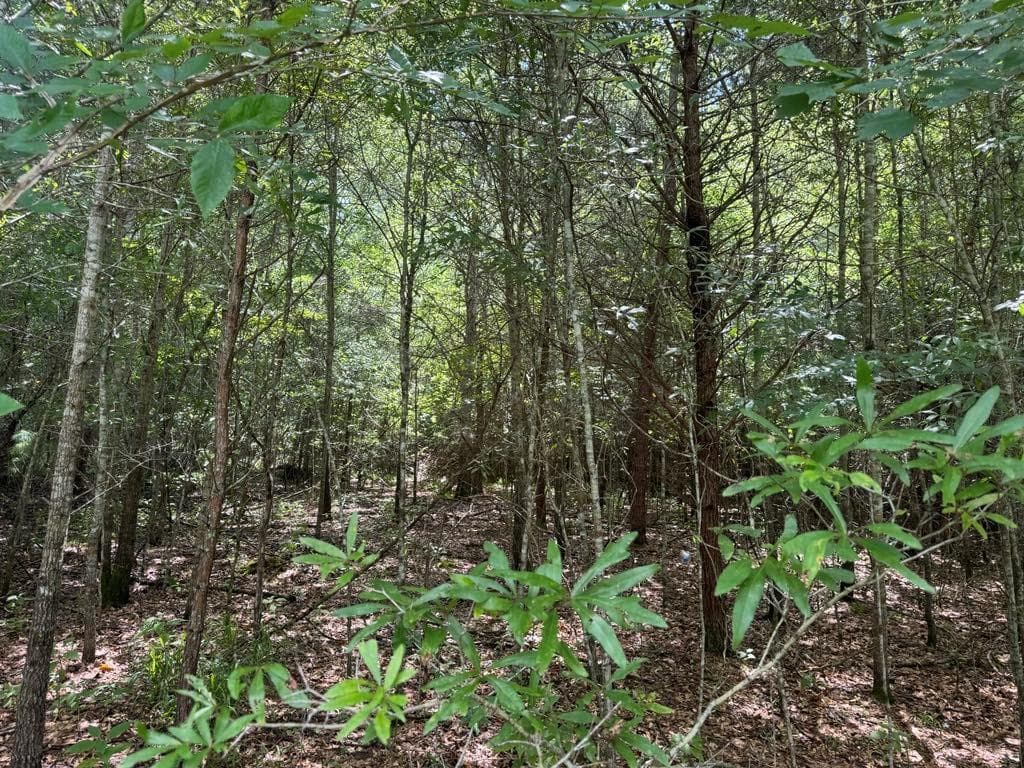 0 Meadow Lane, Talking Rock, GA 30175 — most recent listing photo