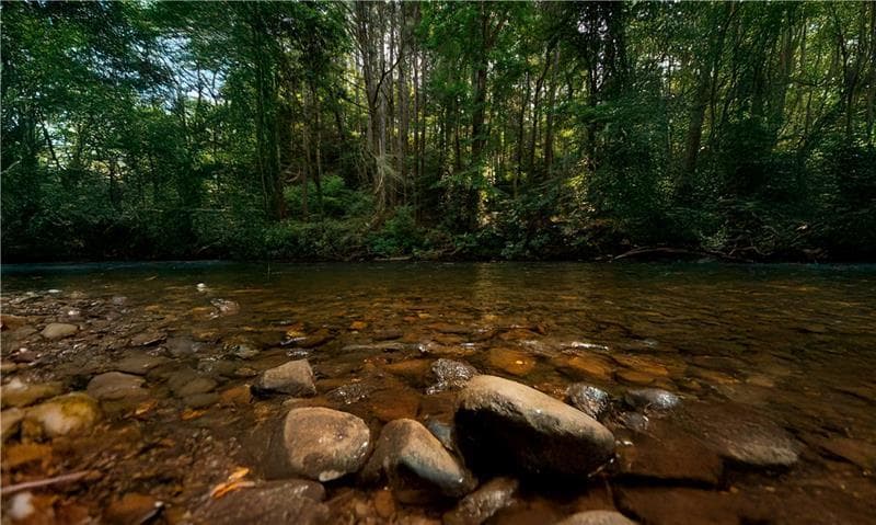 other for sale at 0 Old Rock Creek Road, Blue Ridge, GA 30513 — photo 10