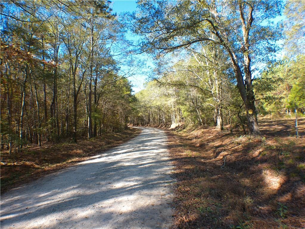 unimproved land for sale at 0 Dusty Road, Bowman, GA 30624