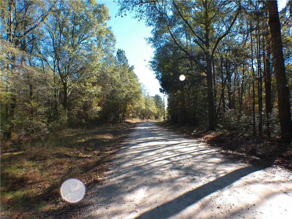 unimproved land for sale at 0 Dusty Road, Bowman, GA 30624 — photo 2