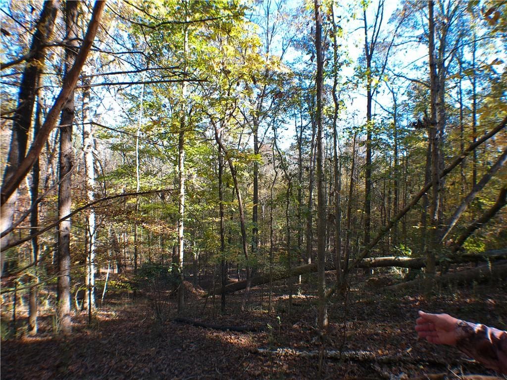 unimproved land for sale at 0 Dusty Road, Bowman, GA 30624 — photo 3