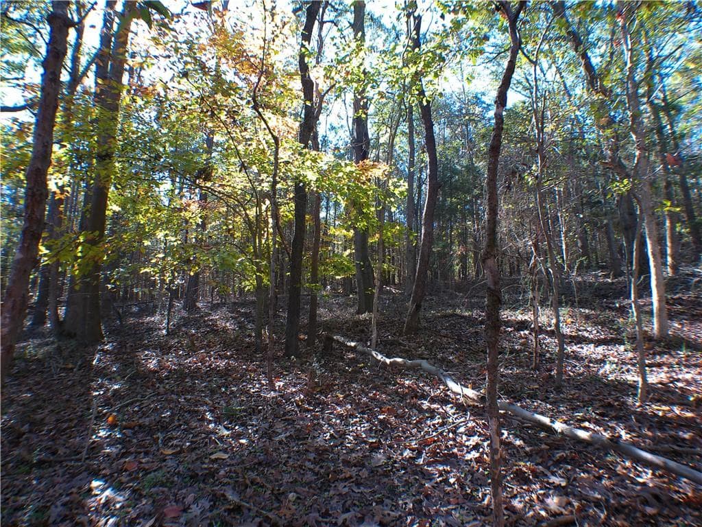 unimproved land for sale at 0 Dusty Road, Bowman, GA 30624 — photo 4