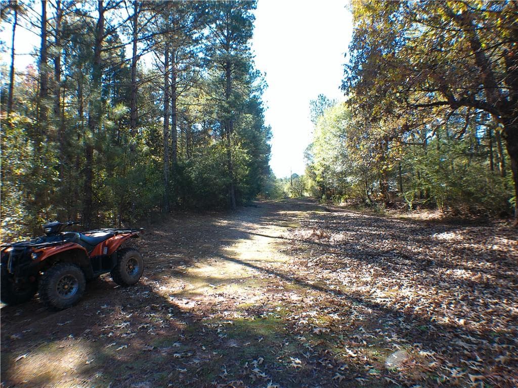 unimproved land for sale at 0 Dusty Road, Bowman, GA 30624 — photo 5