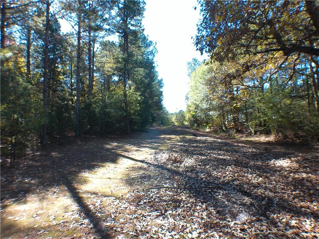 unimproved land for sale at 0 Dusty Road, Bowman, GA 30624 — photo 6