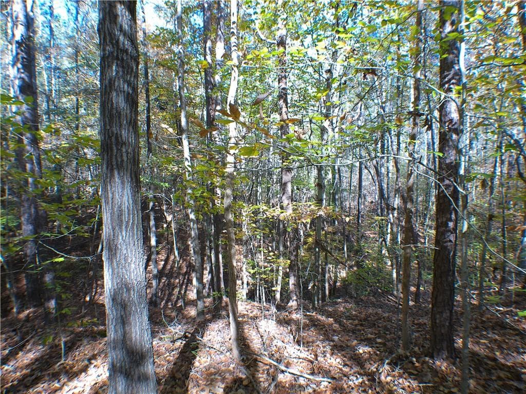 unimproved land for sale at 0 Dusty Road, Bowman, GA 30624 — photo 7