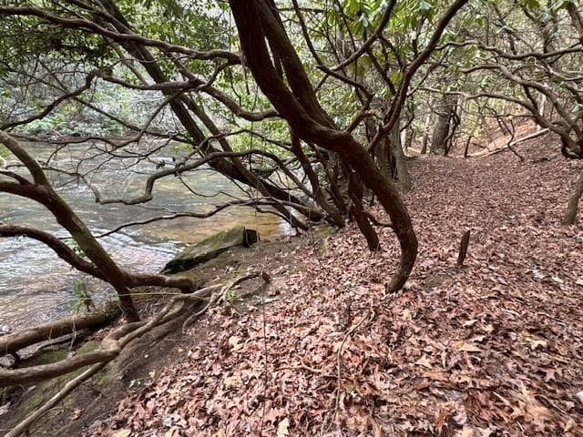 single family residence for sale at 0 Horseshoe Bend Road, Dahlonega, GA 30533 — photo 3