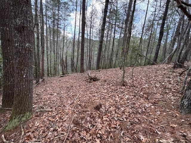 single family residence for sale at 0 Horseshoe Bend Road, Dahlonega, GA 30533 — photo 7