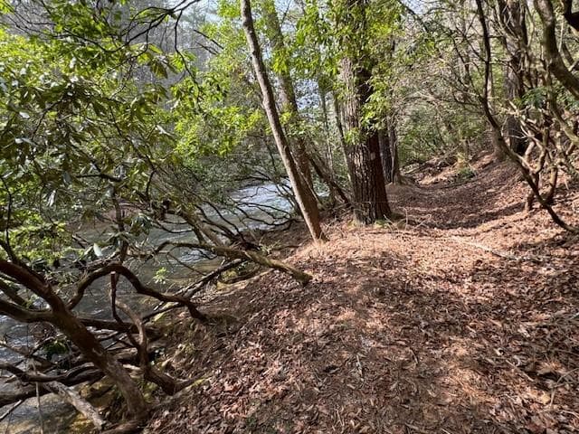 single family residence for sale at 0 Horseshoe Bend Road, Dahlonega, GA 30533 — photo 6