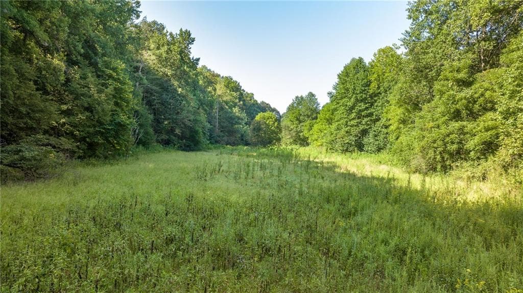other for sale at 0 Gold Crest Drive, Dahlonega, GA 30533 — photo 4
