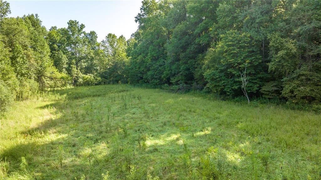 other for sale at 0 Gold Crest Drive, Dahlonega, GA 30533 — photo 5