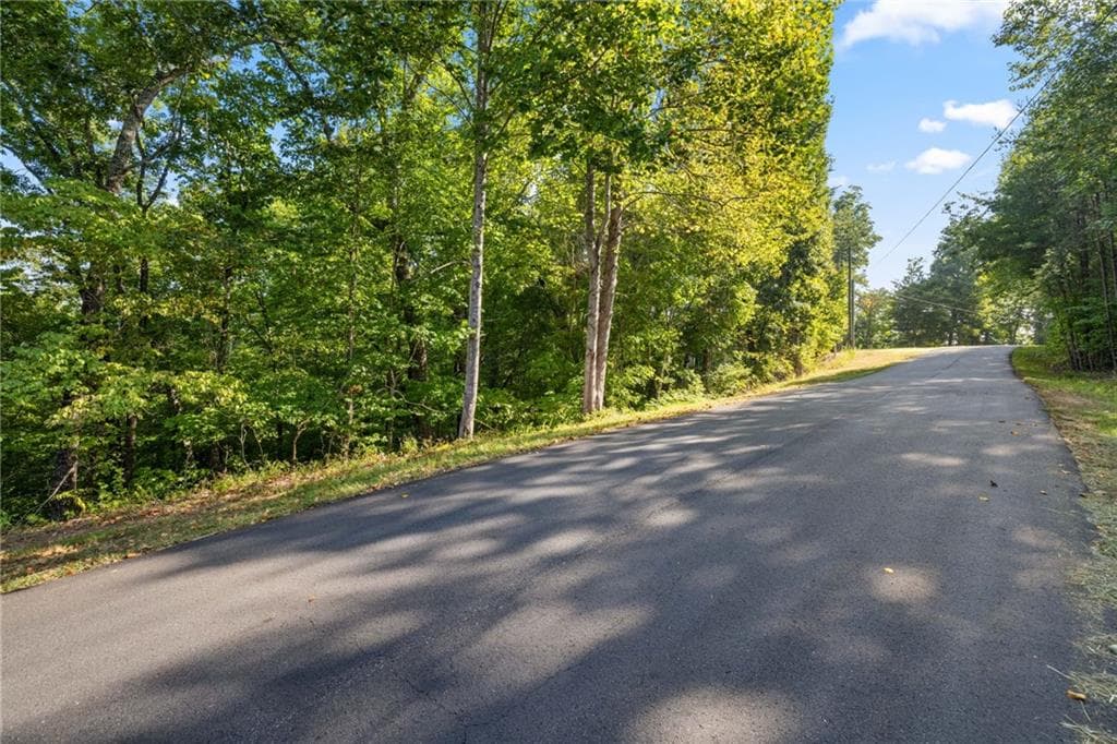 other for sale at 0 Gold Crest Drive, Dahlonega, GA 30533 — photo 8