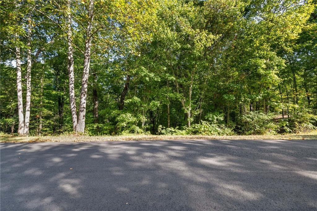 other for sale at 0 Gold Crest Drive, Dahlonega, GA 30533 — photo 9