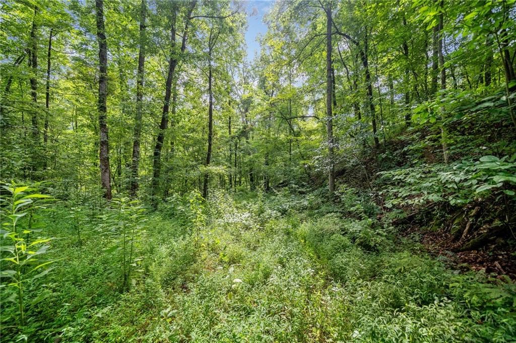 single family residence for sale at 3.11 Acres Cove Road, Jasper, GA 30143 — photo 9