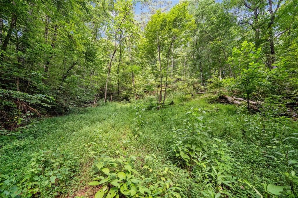 single family residence for sale at 3.11 Acres Cove Road, Jasper, GA 30143 — photo 3