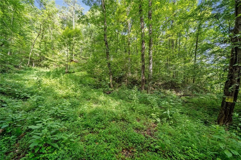 single family residence for sale at 3.11 Acres Cove Road, Jasper, GA 30143 — photo 10