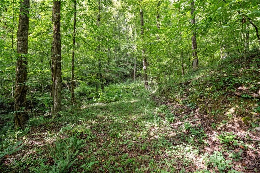 single family residence for sale at 3.11 Acres Cove Road, Jasper, GA 30143 — photo 4